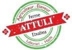 Ferme Attuli Etxaltea