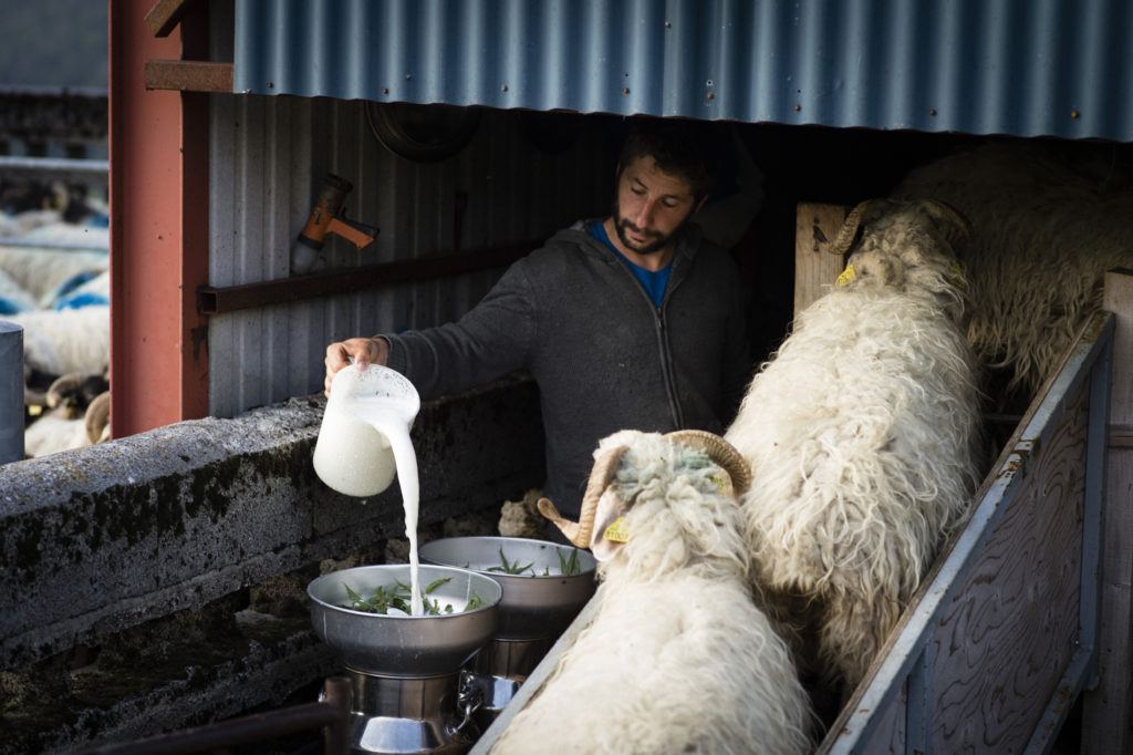 Ferme Paradis